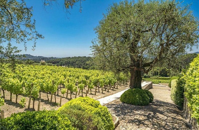 Riviera Tour sur mesure — 4